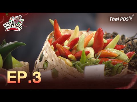 ตอนที่.3 | ยกพลคนน้ำพริก