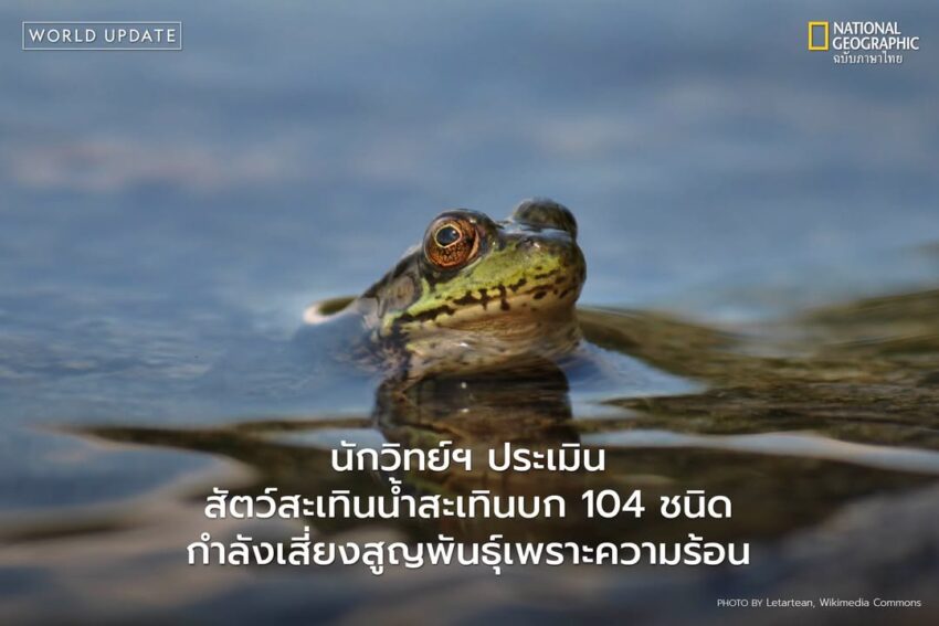 การวิจัยใหม่ที่เผยแพร่ในวารสาร-nature-โดยทีมงานนักวิจัยจากหลากหลายสถาบันระบุว่า-2%-ของสัตว์สะ