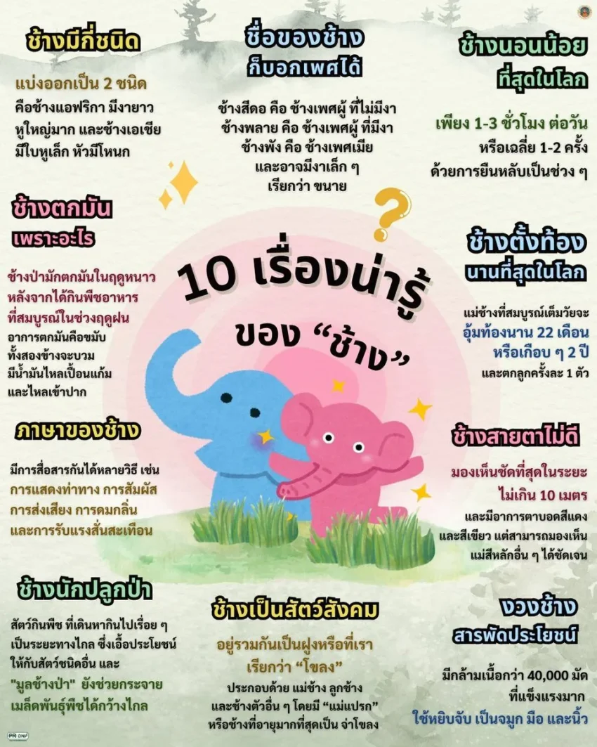 เนื่องในวันที่-13-มีนาคม-เป็น-“วันช้างไทย”-ถือเป็นการยก