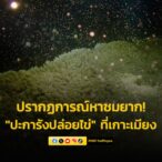 ปรากฏการณ์หาชมยาก-เจ้าหน้าที่อุทยานแห่งชาติ-สิมิลันพบ-“ปะการั-|-2025-03-18-03:39:00