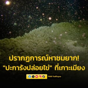 ปรากฏการณ์หาชมยาก-เจ้าหน้าที่อุทยานแห่งชาติ-สิมิลันพบ-“ปะการั-|-2025-03-18-03:39:00