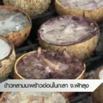 ข้าวหลามมะพร้าวอ่อนในกะลา-จ.พัทลุง-ทุกทิศทั่วไทย-ข่าวที่คุ