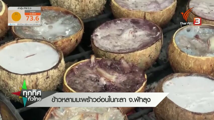 ข้าวหลามมะพร้าวอ่อนในกะลา-จ.พัทลุง-ทุกทิศทั่วไทย-ข่าวที่คุ