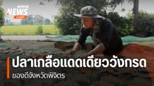 ชาวบ้าน-ในจังหวดพิจิตร-รวมตัวตั้งกลุ่มวิสาหกิจชุมชน-ทำปลาเกล