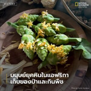 มีการศึกษาครั้งสำคัญที่ท้าทายความเชื่อดั้งเดิมเกี่ยวกับพฤติก