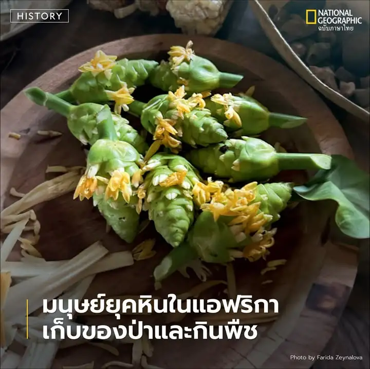 มีการศึกษาครั้งสำคัญที่ท้าทายความเชื่อดั้งเดิมเกี่ยวกับพฤติก
