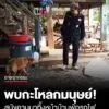 ผงะ-พบกะโหลกมนุษย์-สุนัขชื่อ-“เจ้าแสบ”-คาบมาทิ้งหน้าบ้านพักรถไฟ-อ.ปากช่อง-โคราช