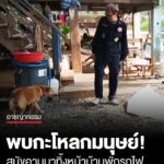 ผงะ-พบกะโหลกมนุษย์-สุนัขชื่อ-“เจ้าแสบ”-คาบมาทิ้งหน้าบ้านพักรถไฟ-อ.ปากช่อง-โคราช