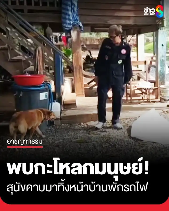 ผงะ-พบกะโหลกมนุษย์-สุนัขชื่อ-“เจ้าแสบ”-คาบมาทิ้งหน้าบ้านพักรถไฟ-อ.ปากช่อง-โคราช