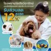 สิทธิพิเศษเฉพาะสมาชิก-คิง-เพาเวอร์