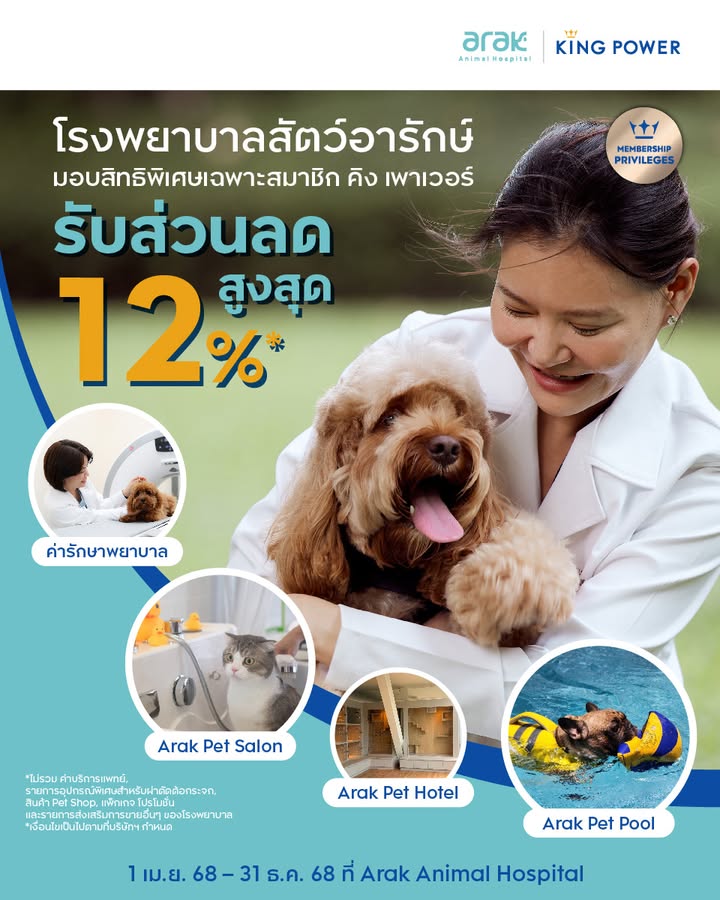 สิทธิพิเศษเฉพาะสมาชิก-คิง-เพาเวอร์