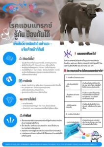 -โรคแอนแทรกซ์-อันตรายถึงชีวิต-—-ป้องกันได้ด้วยความรู้และการ-|-2025-05-01-13:11:00