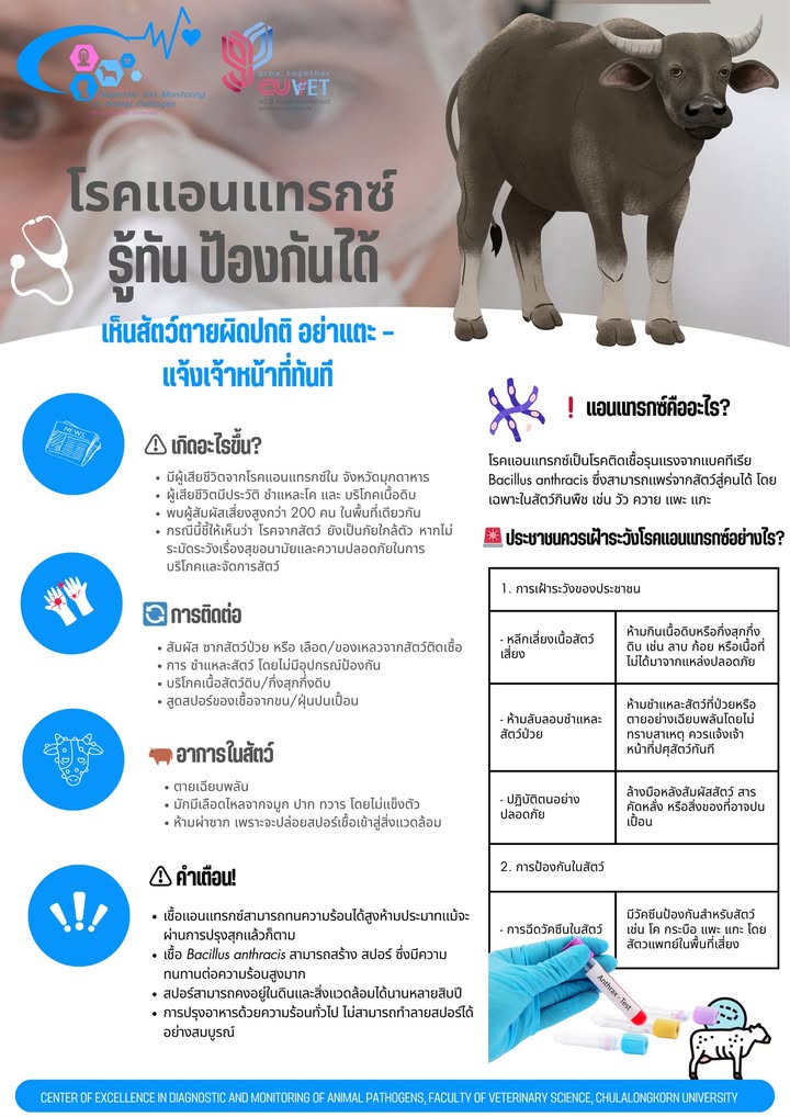 -โรคแอนแทรกซ์-อันตรายถึงชีวิต-—-ป้องกันได้ด้วยความรู้และการ-|-2025-05-01-13:11:00