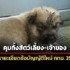 กรุงเทพมหานครผ่ารายละเอียดข้อบัญญัติคุมเลี้ยงสัตว์ฉบับใหม่-เจ้าของต้องดูแลตั้งแต่เกิดจนเสียชีวิต