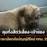 กรุงเทพมหานครผ่ารายละเอียดข้อบัญญัติคุมเลี้ยงสัตว์ฉบับใหม่-เจ้าของต้องดูแลตั้งแต่เกิดจนเสียชีวิต