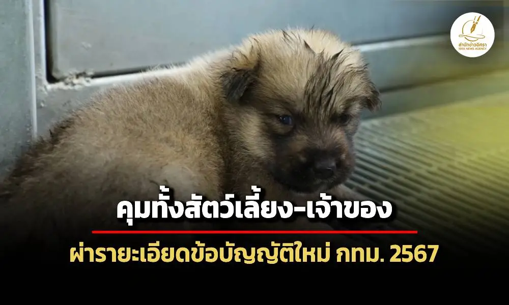 กรุงเทพมหานครผ่ารายละเอียดข้อบัญญัติคุมเลี้ยงสัตว์ฉบับใหม่-เจ้าของต้องดูแลตั้งแต่เกิดจนเสียชีวิต