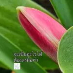 จะเป็นอะไรได้-ต้องลงมือทำ-พระพุทธองค์ตรัสว่า-บุคคลเปรียบเหม-|-2025-05-03-13:29:00