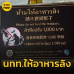 อชหาดนพรัตน์ฯ​-ขอบคุณผู้แจ้งเบาะแส​-หลังส่งหลักฐาน​-นักท่องเที่ยวต่า-|-2025-05-04-13:58:00