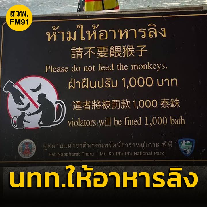 อชหาดนพรัตน์ฯ-ขอบคุณผู้แจ้งเบาะแส-หลังส่งหลักฐาน-นักท่องเที่ยวต่า-|-2025-05-04-13:58:00