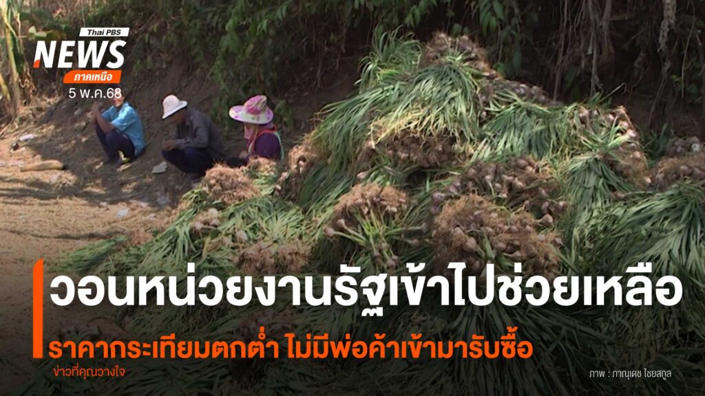 (5/5/68)-…-เกษตรกรในอำเภอปางมะผ้า-จังหวัดแม่ฮ่องสอน-วอนหน่