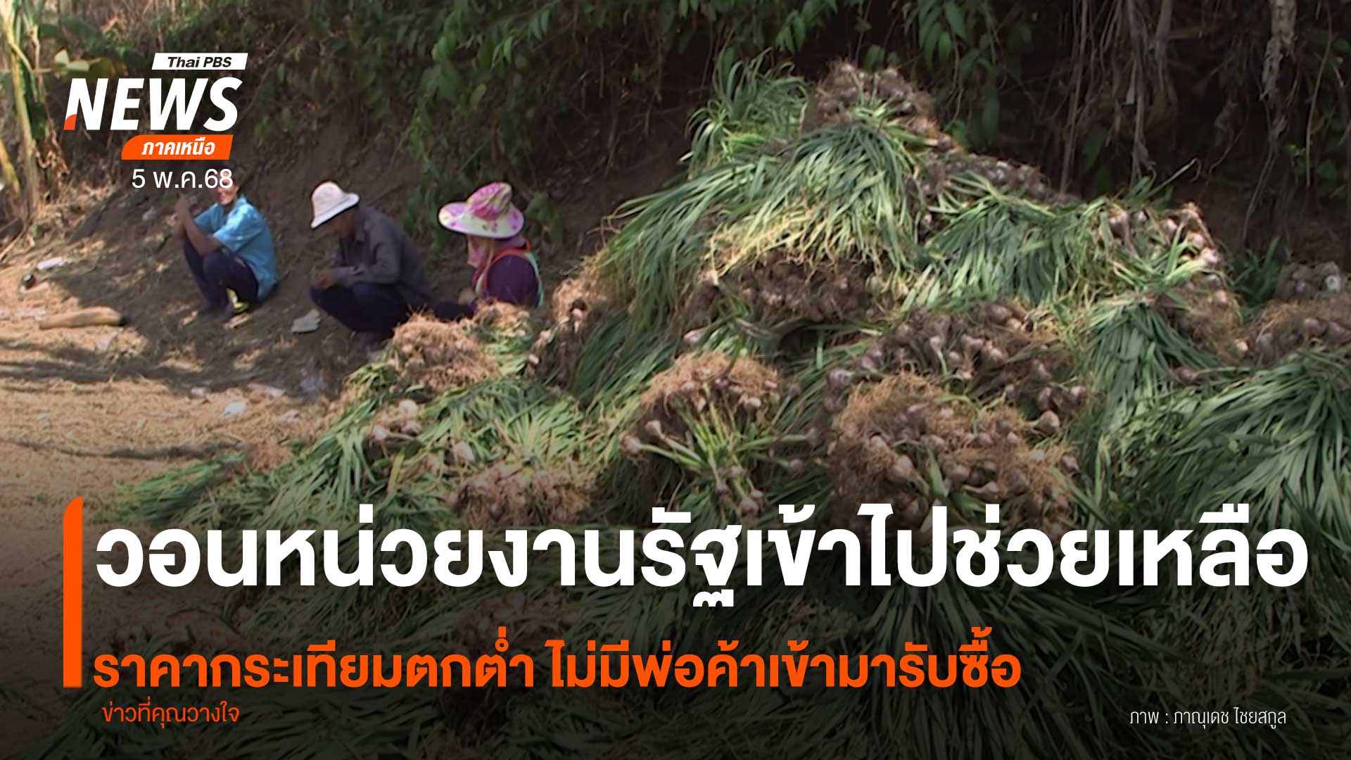 (5/5/68)-…-เกษตรกรในอำเภอปางมะผ้า-จังหวัดแม่ฮ่องสอน-วอนหน่