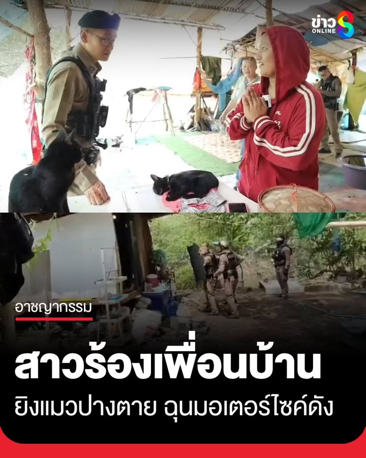 เพื่อนบ้านโหด-ยิvแมวปางเสียชีวิต-ฉุนมอเตอร์ไซค์เสียงดัง-เผยพฤติกรรมทั้งเสพและค้า