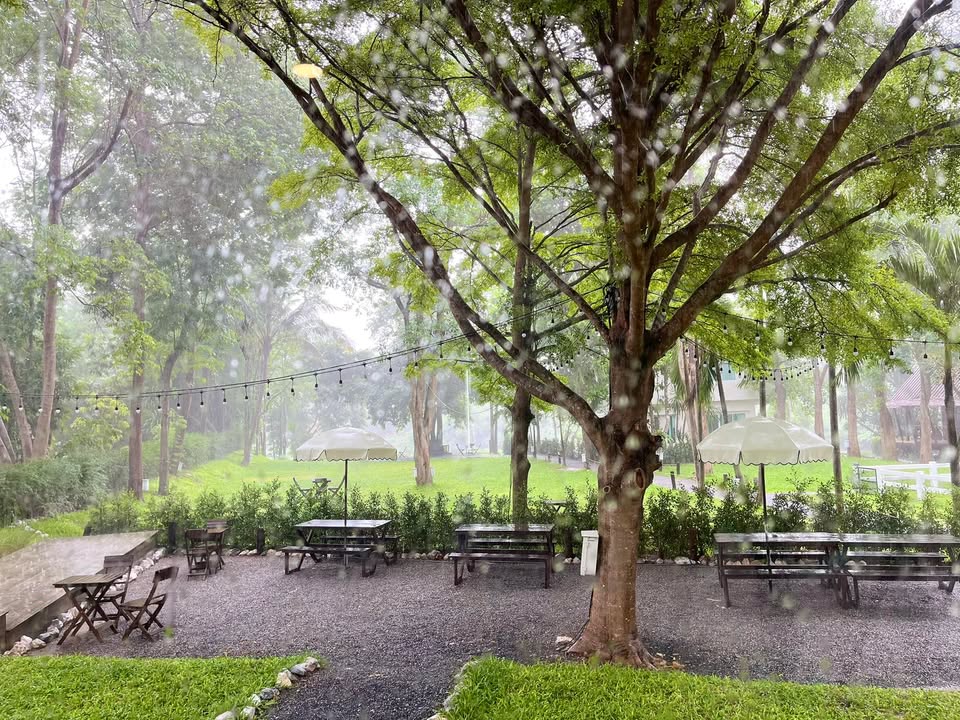 มวกเหล็กฝนตกค่ะ-ที่ไหนตกแล้วบ้าง-(feed--with-fetchr