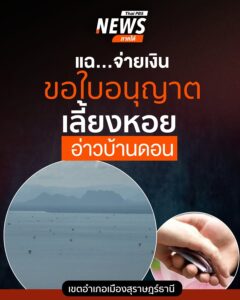 แฉจ่ายเงินขอใบอนุญาตเลี้ยงหอย-อ่าวบ้านดอน-เขตอำเภอเมืองสุราษ