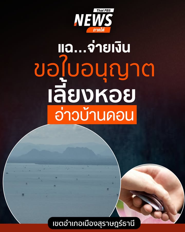 แฉจ่ายเงินขอใบอนุญาตเลี้ยงหอย-อ่าวบ้านดอน-เขตอำเภอเมืองสุราษ