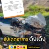 ทีมไทบ้าน-อัปเดตอาการ-ด้งเด้ง-หรือ-“จ่าลอด”-บาดเจ็บจากอุบั-|-2025-05-09-16:41:00