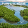10-พฤษภาคม-วันป่าชายเลนแห่งชาติ-เพื่อรำลึกถึงพระมหากรุณาธิคุ