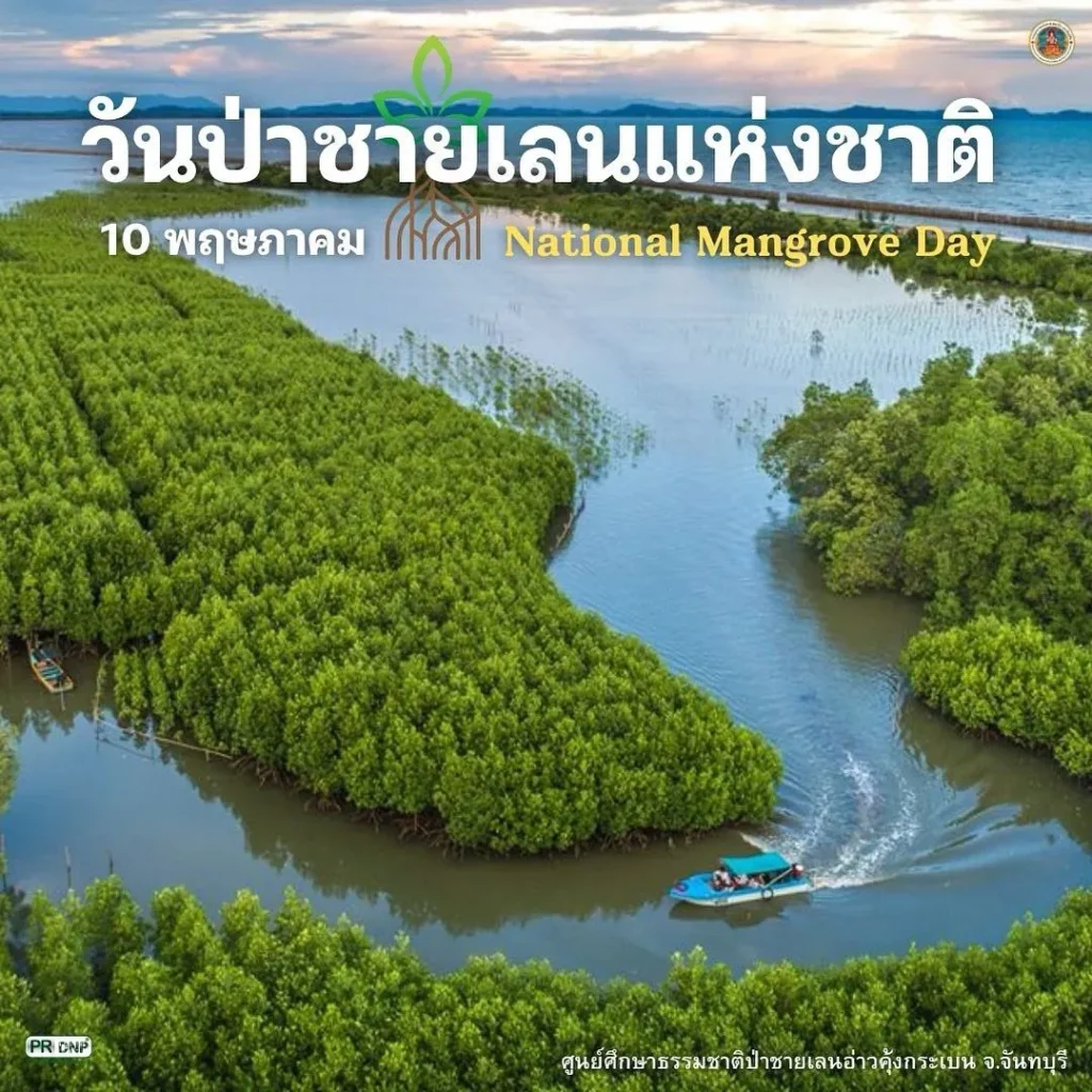 10-พฤษภาคม-วันป่าชายเลนแห่งชาติ-เพื่อรำลึกถึงพระมหากรุณาธิคุ