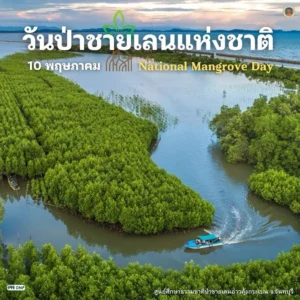 10-พฤษภาคม-วันป่าชายเลนแห่งชาติ-เพื่อรำลึกถึงพระมหากรุณาธิคุ