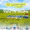 -10-พฤษภาคม-วันป่าชายเลนแห่งชาติ-ด้วยคุณประโยชน์มากมา