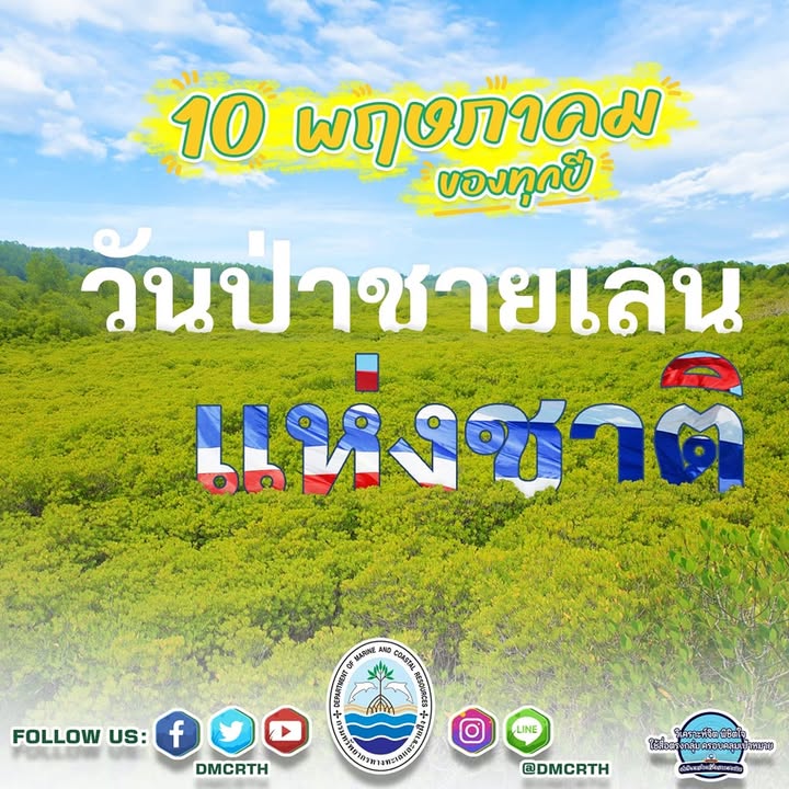 -10-พฤษภาคม-วันป่าชายเลนแห่งชาติ-ด้วยคุณประโยชน์มากมา