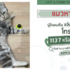 แมวหาย-ผู้ใดพบเห็นแจ้ง-js100-โทร-*1808-หรือ-1137-แมวหายจากหม-|-2025-05-10-04:58:00