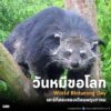 เสาร์ที่-2-ของเดือนพฤษภาคม-วันหมีขอโลก-วันเสาร์ที่-2-ของเด