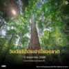 วันต้นไม้ประจำปีของชาติ-วันต้นไม้ประจำปีของชาติ-ตรงกับวันว
