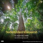 วันต้นไม้ประจำปีของชาติ-วันต้นไม้ประจำปีของชาติ-ตรงกับวันว
