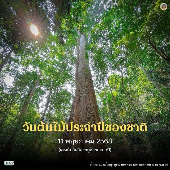 วันต้นไม้ประจำปีของชาติ-วันต้นไม้ประจำปีของชาติ-ตรงกับวันว
