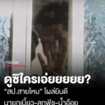 ดูซิเราเจอใคร