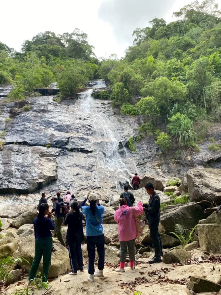 อุทยานแห่งชาติน้ำตกหงาว-จ.ระนอง-จัดกิจกรรมเดินป่าระยะกลางเส