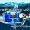 จะพาไปเรียนรู้ดูวิธีเพาะพันธุ์ปลาแบบง่ายๆ-โดยไม่ง้อโรงเพาะฟ-|-2025-05-13-08:01:00