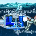 จะพาไปเรียนรู้ดูวิธีเพาะพันธุ์ปลาแบบง่ายๆ-โดยไม่ง้อโรงเพาะฟ-|-2025-05-13-08:01:00