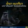 น้ำมา-แมวก็มา-ระวัง-แก๊งแมวน้ำ-ลักทรัพย์ช่วงน้ำท่วม.-หลัง