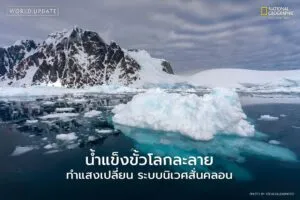 ภาวะโลกร้อน-ไม่ได้แค่ทำให้น้ำแข็งขั้วโลกละลาย-แต่ยังเปลี่ย