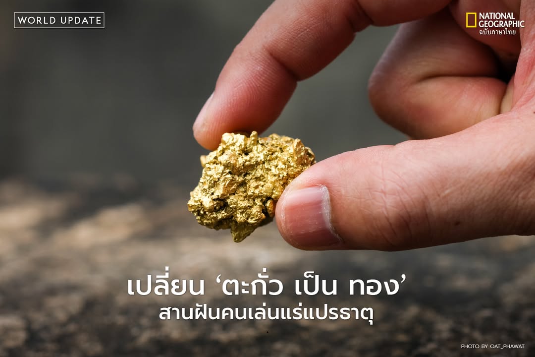 ทีมวิจัยจากศูนย์ปฏิบัติการวิจัยนิวเคลียร์แห่งยุโรป-หรือ-cern