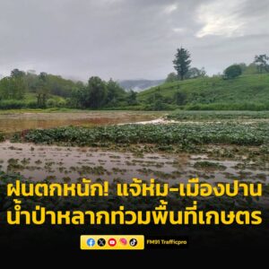 ฝนตกหนักพื้นที่แจ้ห่ม-เมืองปาน-จ.ลำปาง-น้ำป่าหลากท่วมพื้นที่-|-2025-05-17-05:36:00
