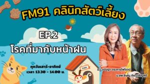 โรคที่มากับหน้าฝน-ep.2-:-fm91-คลินิกสัตว์เลี้ยง-:-18-พฤษภาคม-|-2025-05-18-06:31:00