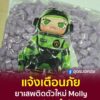 -แจ้งเตือนภัย-ยาเสพติดตัวใหม่-molly-(ยาอี+ยาไอซ์)-หล้งมีการ